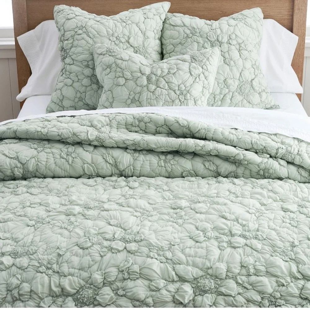 Pottery Barn Monique Lhuillier Marguerite Quilted Shams Set Standard Size NEW